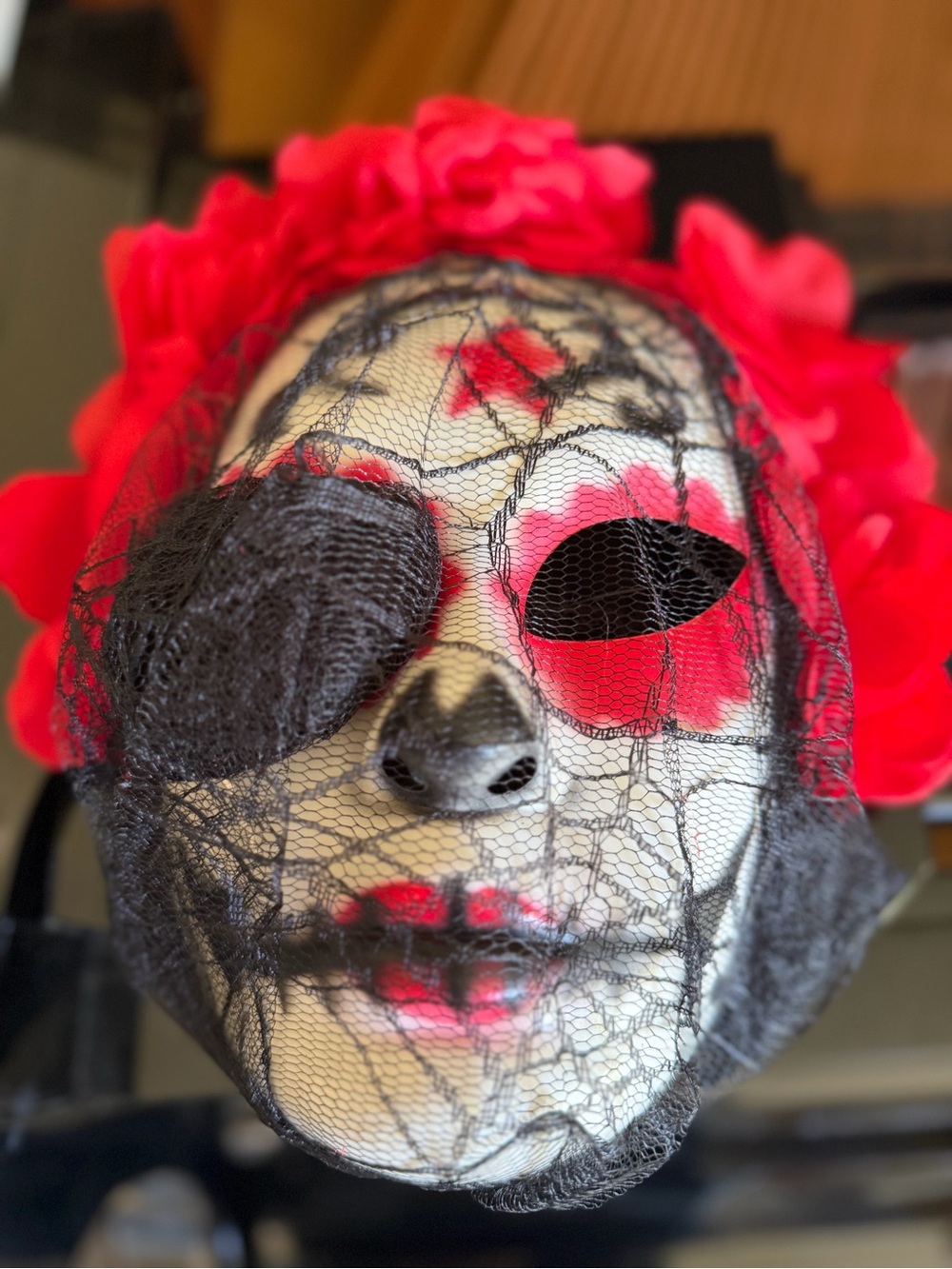 Day of the Dead Mask with veil